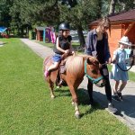 phoca_thumb_m_ponk 32 Fotogalerie
